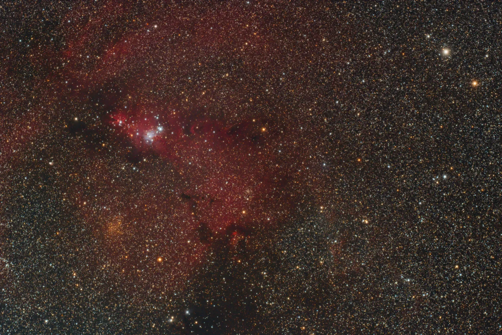 NGC 2264: The Cone Nebula