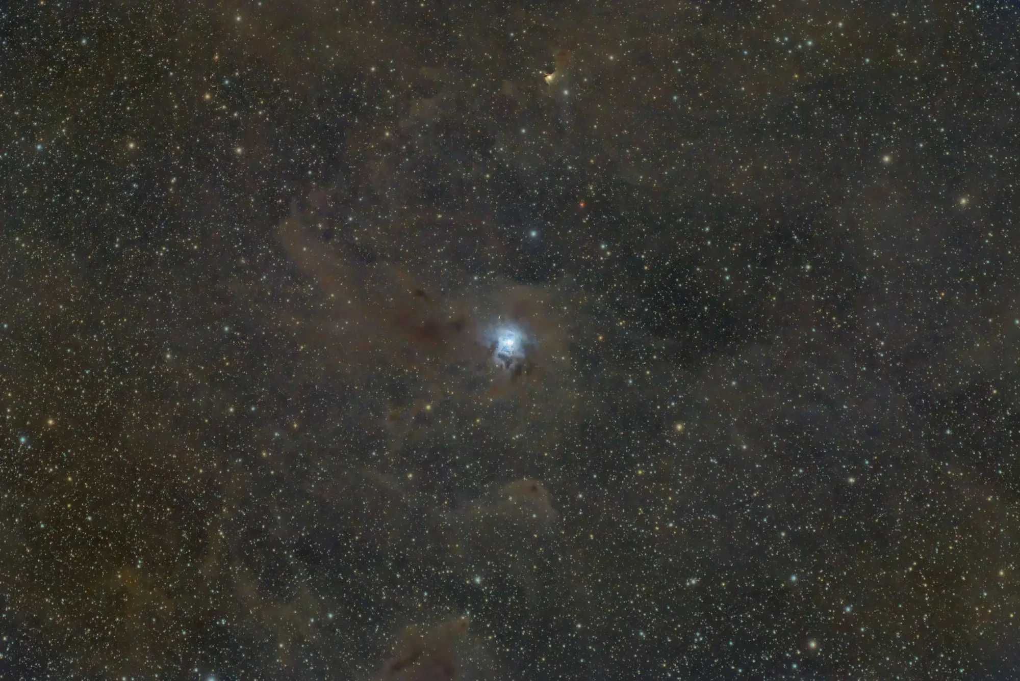 NGC 7023: Iris Nebula