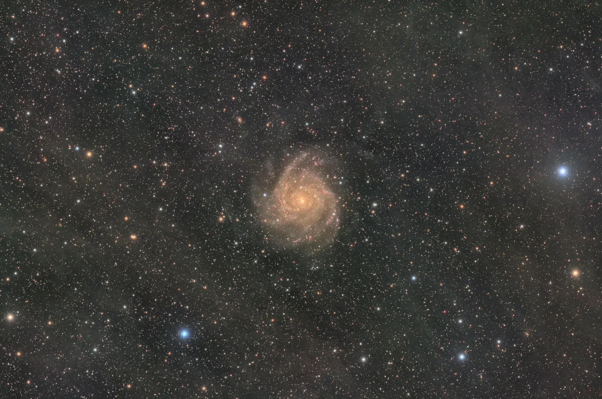 The Hidden Galaxy: IC 342
