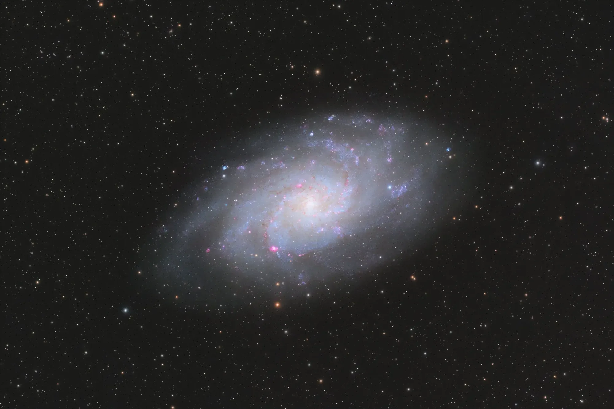 M33