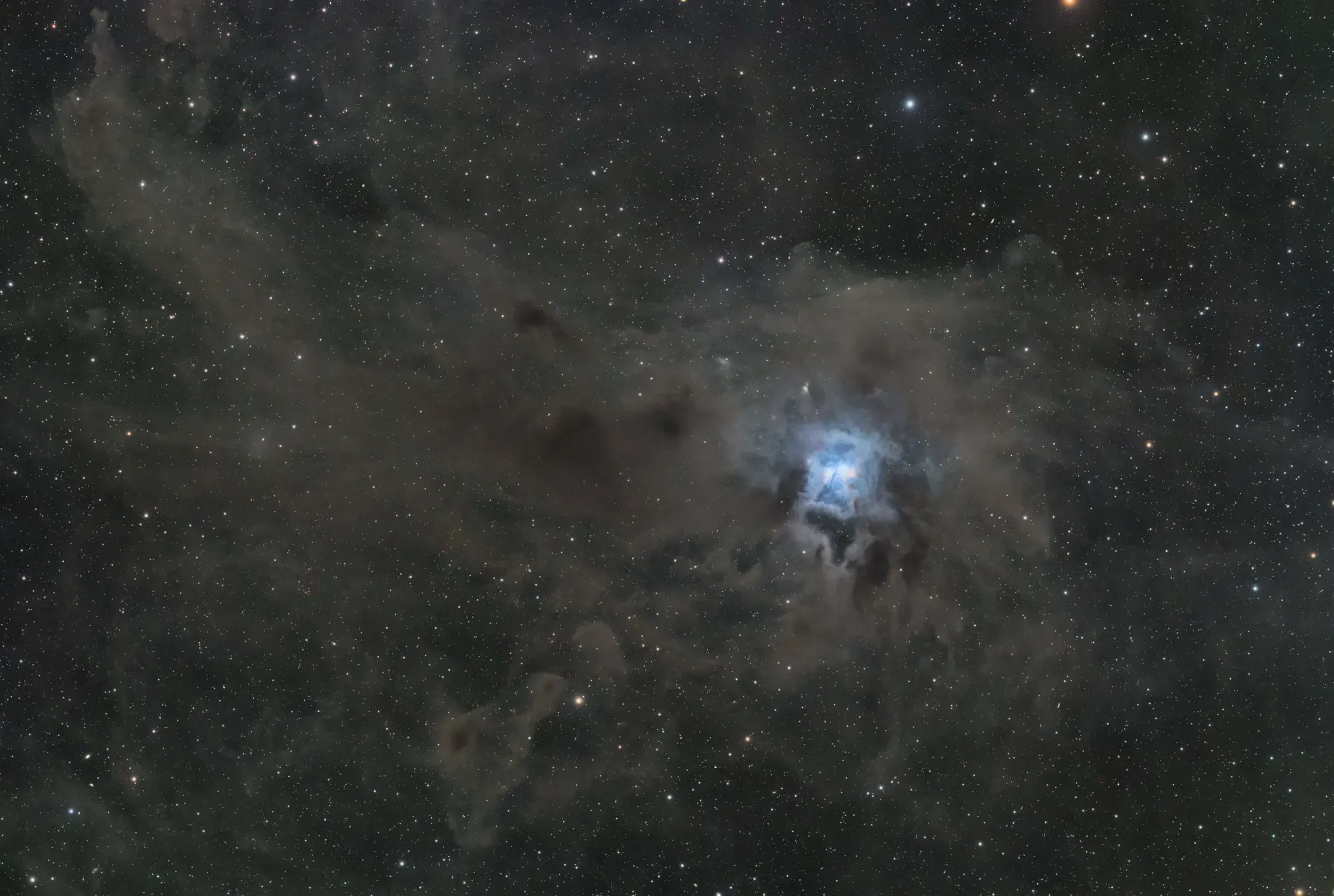 Iris Nebula