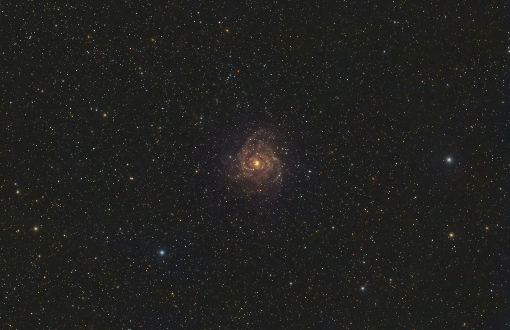 IC 342: The Hidden Galaxy