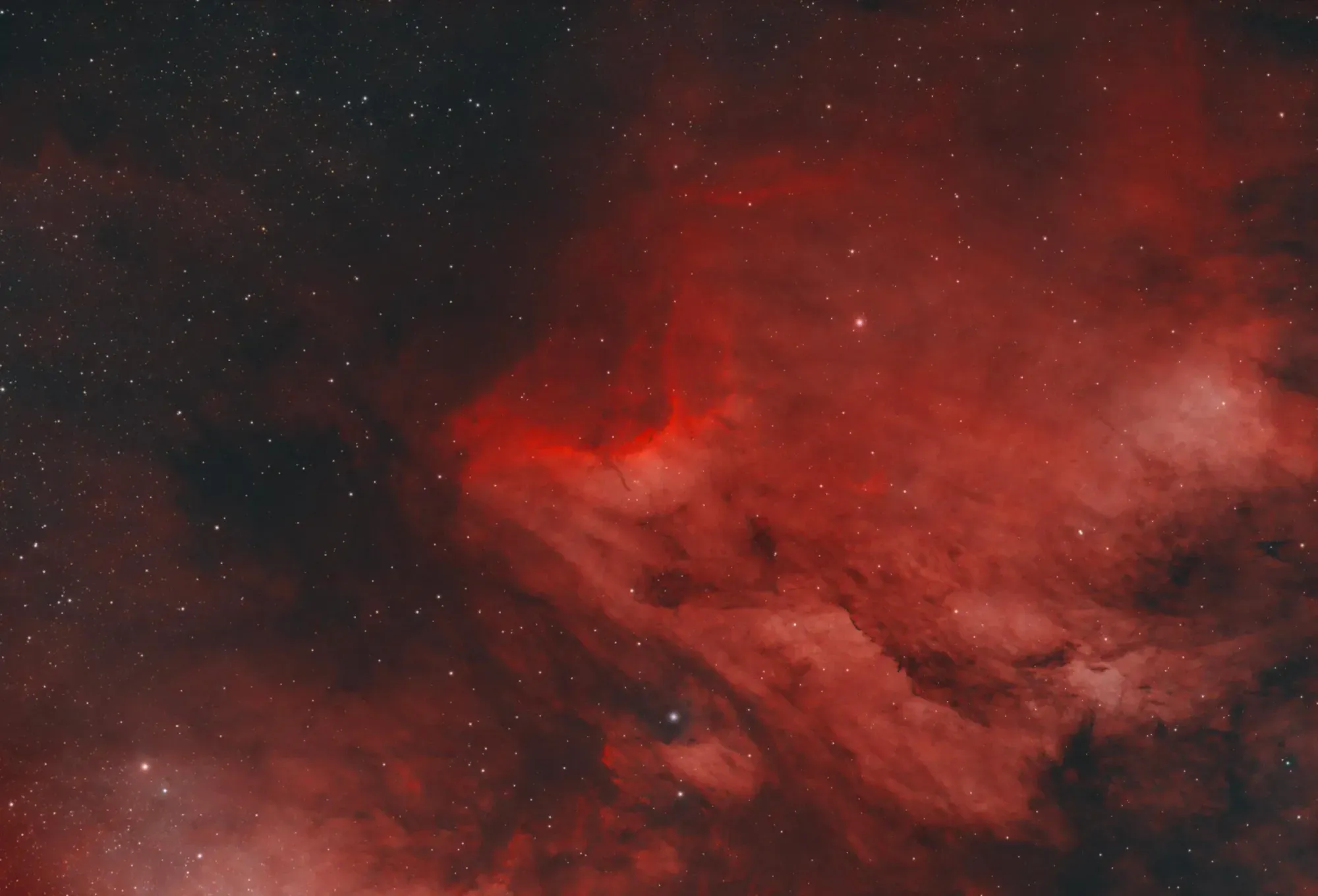 IC 5070: The Pelican Nebula