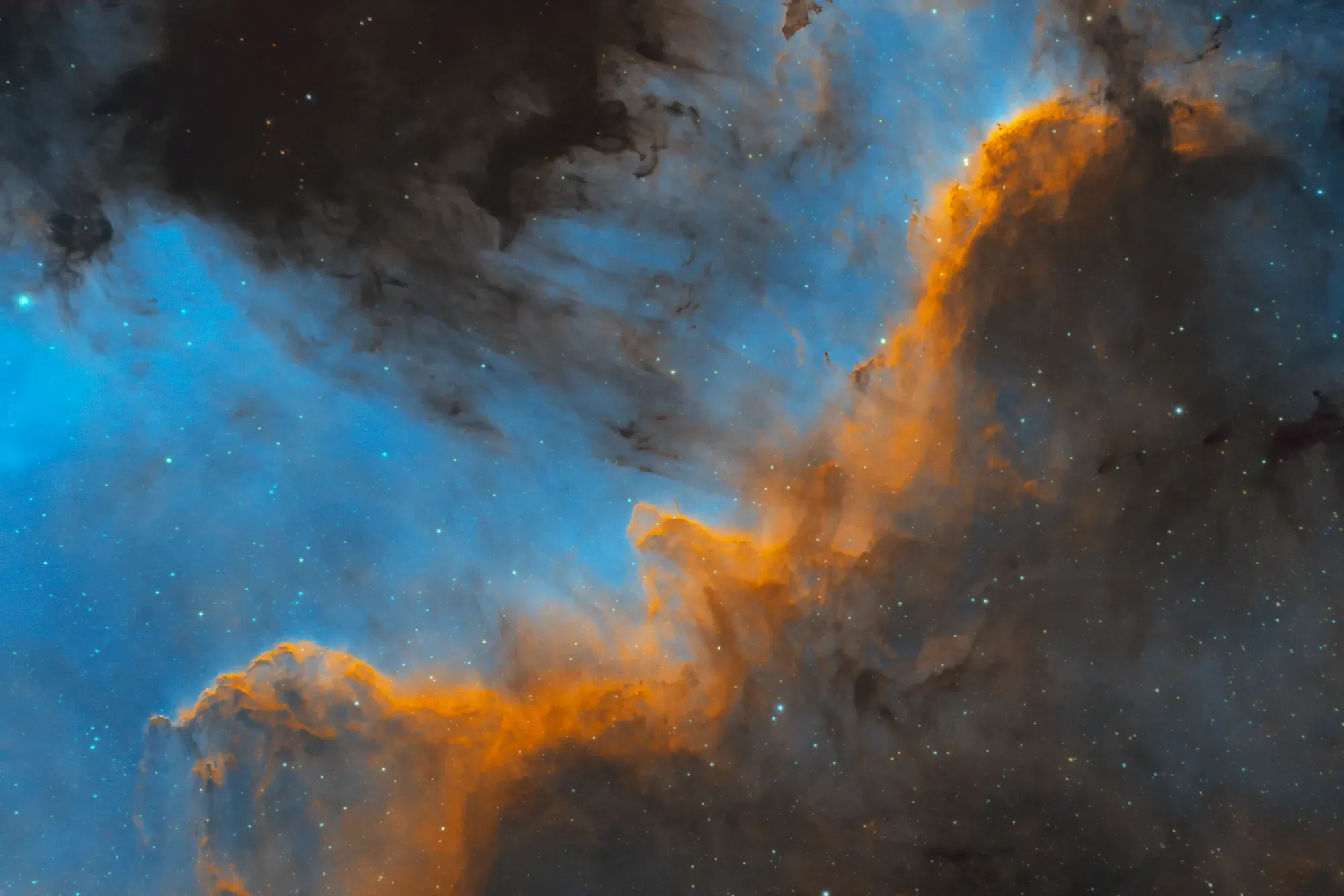 NGC 7000: Cygnus Wall