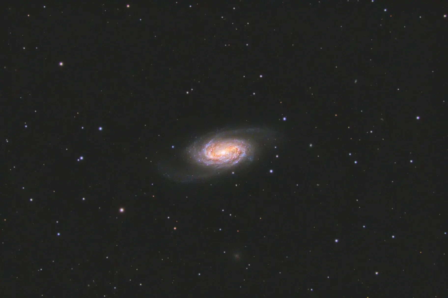 NGC 2905