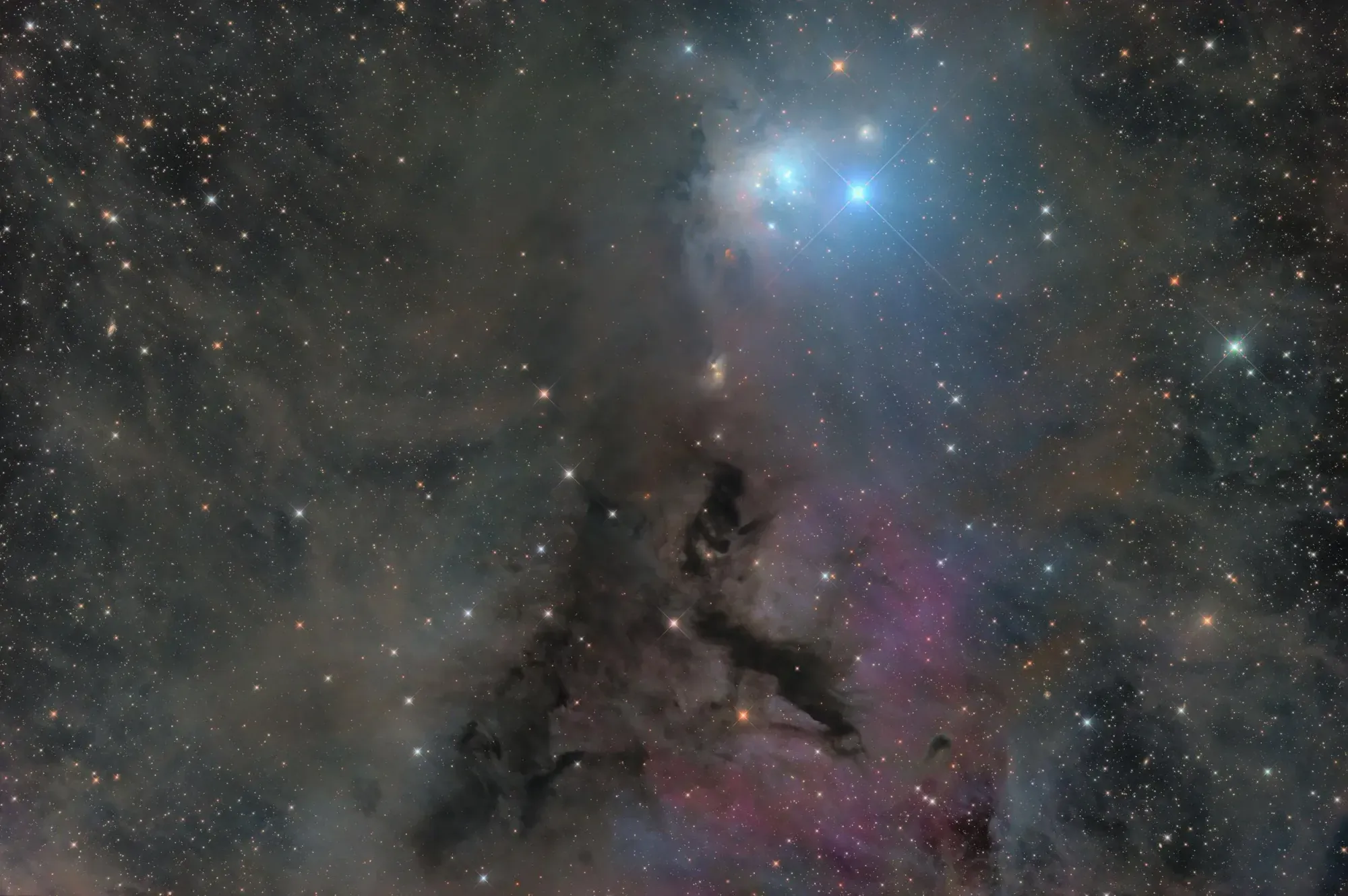  IC 348 shot from Starfront Observatory. 