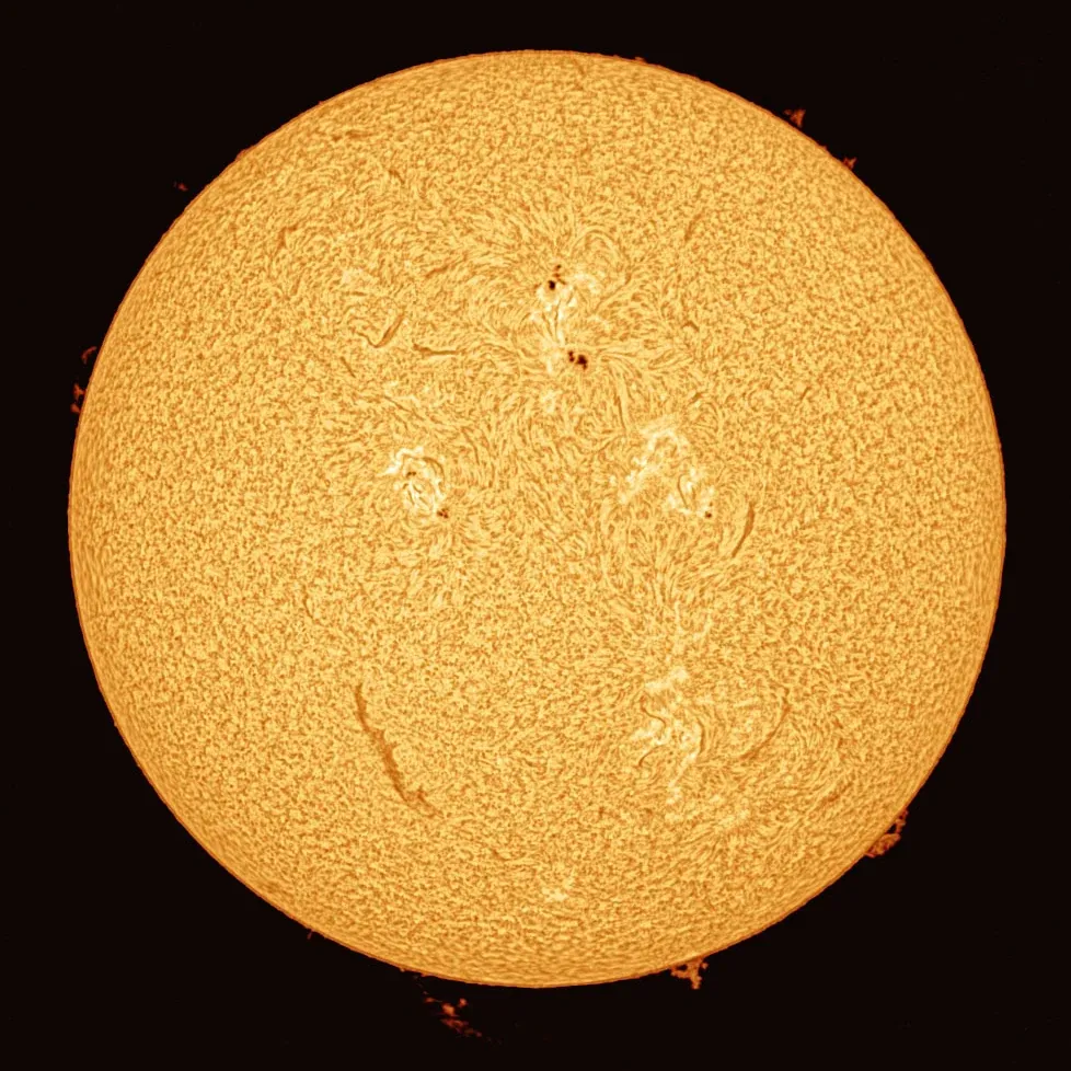 The full solar disc in hydrogen-alpha with prominences on the limb