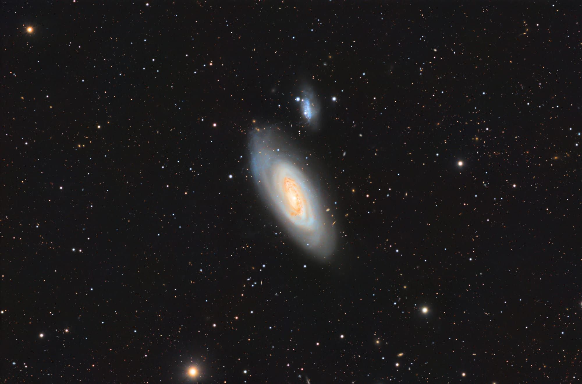 M90: The Violet Harvest