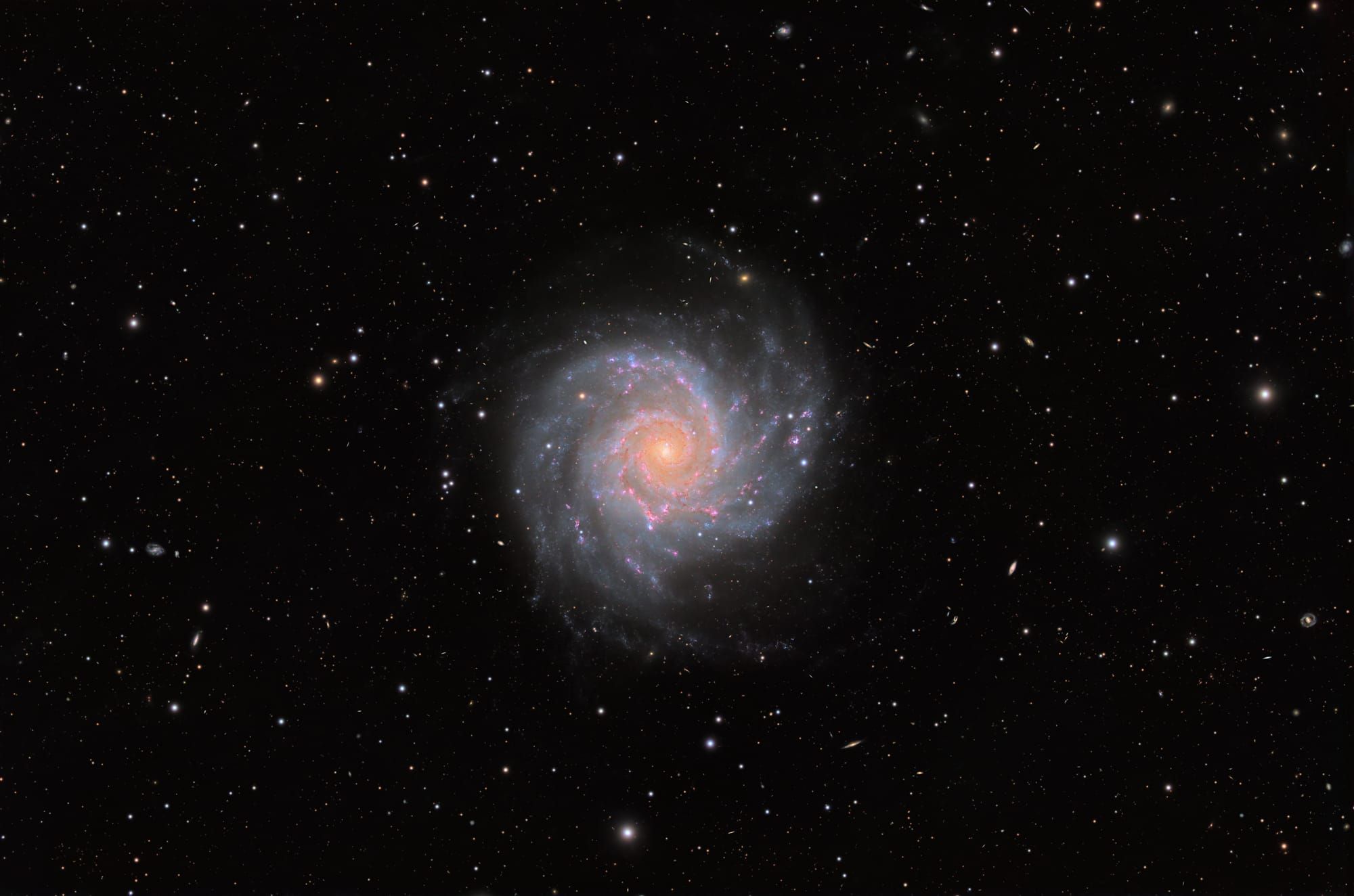 EdgeHD 11 on a 10Micron mount under a windy night sky at DSP Remote