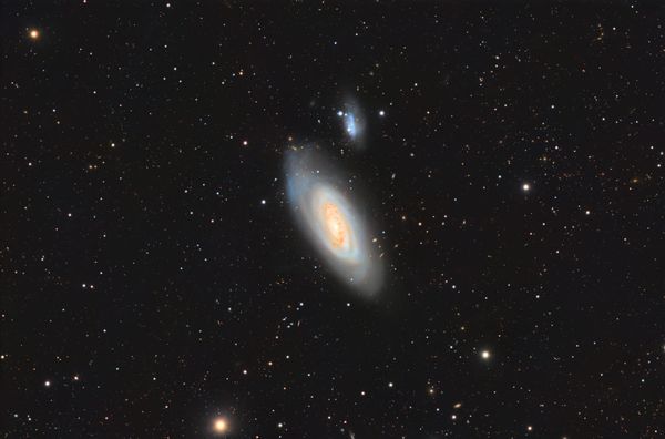 M90: The Violet Harvest