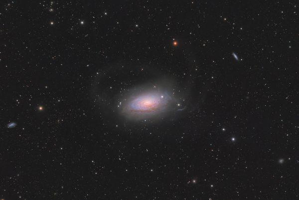 M63: Nobody Asked the Dwarf