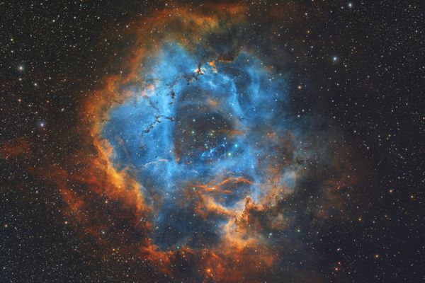 NGC 2237: Five Numbers for One Flower