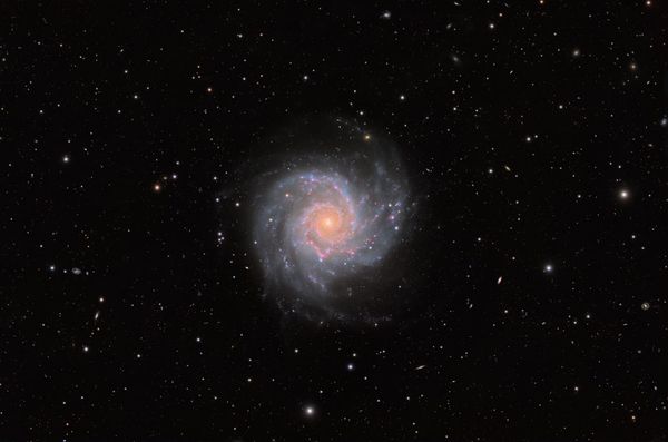 EdgeHD 11 on a 10Micron mount under a windy night sky at DSP Remote