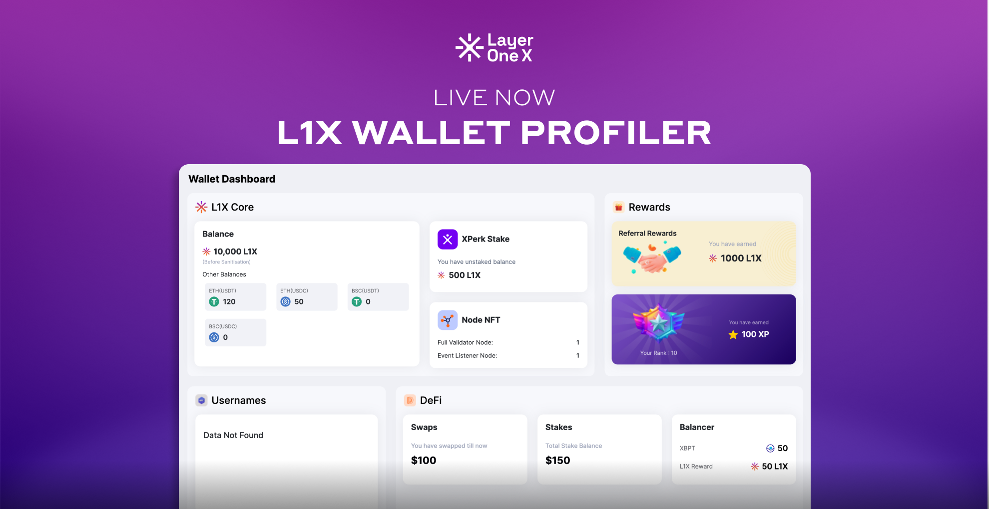 Introducing the L1X Wallet Profiler