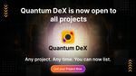 🚀 Quantum DeX: Solving the DEX Liquidity Crisis
