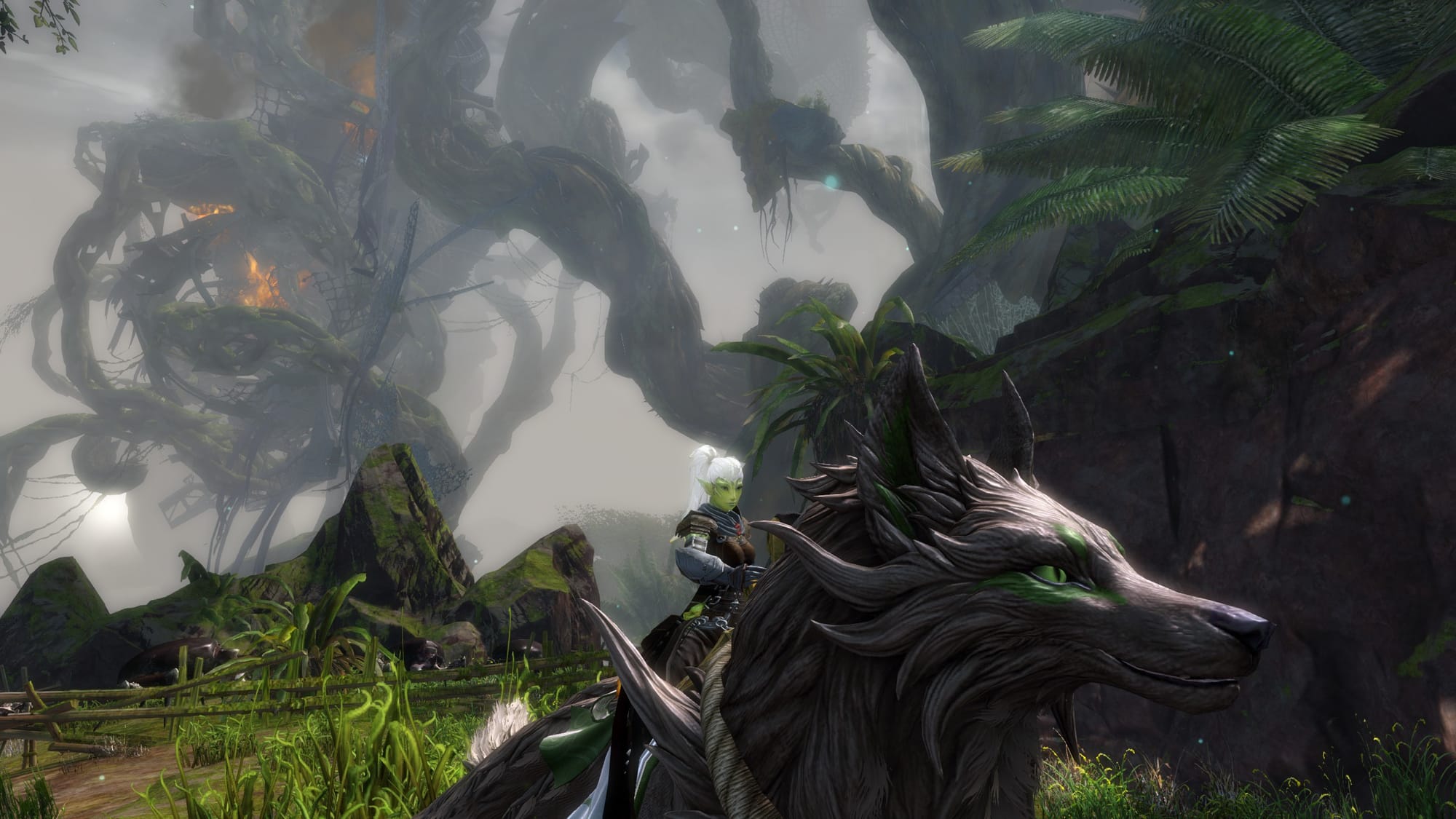 A lush, vertical green jungle map with dense canopy in Guild Wars 2