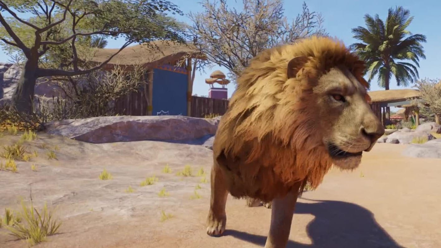 A male lion close up in its habitat