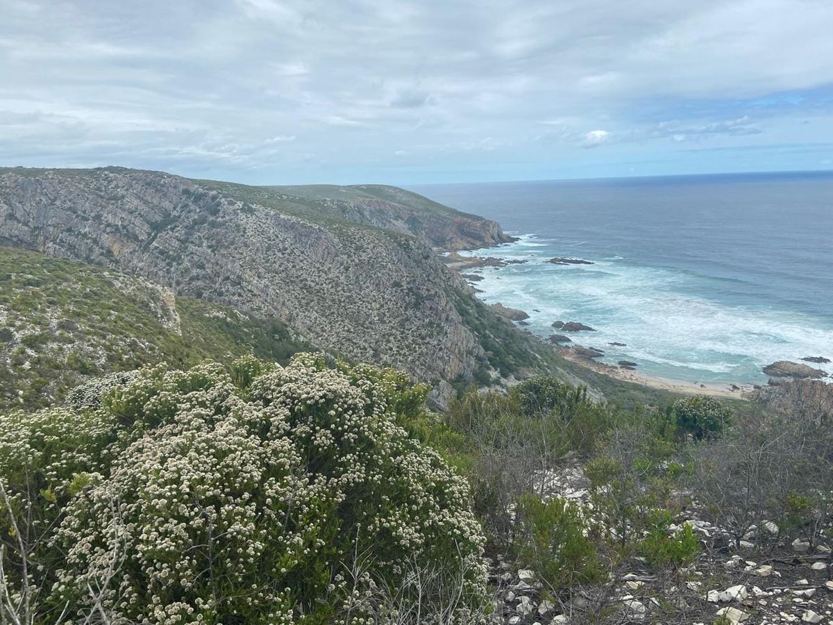 A Love Letter to the Garden Route in Winter