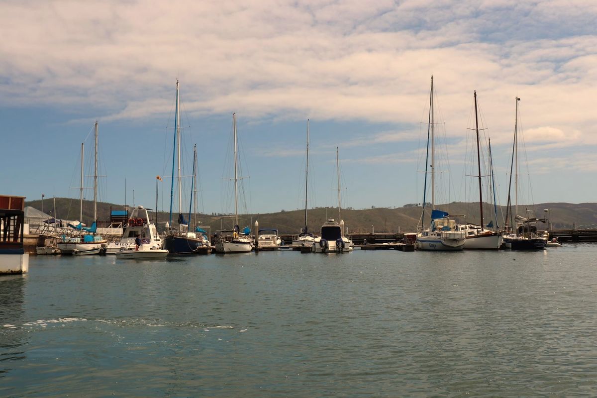 Best Time to Visit the Garden Route