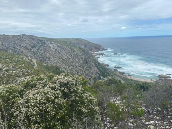 A Love Letter to the Garden Route in Winter