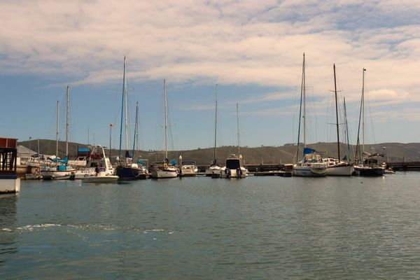 Best Time to Visit the Garden Route