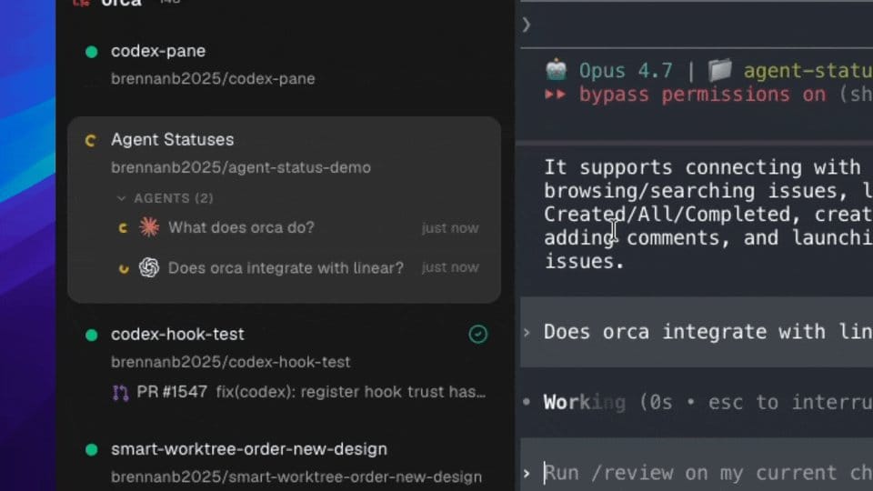 What Orca Solves: N Concurrent Branches, No Branch Juggling (source: www.onorca.dev)