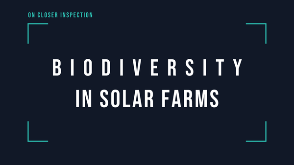On Closer Inspection: Biodiversity in solar farms