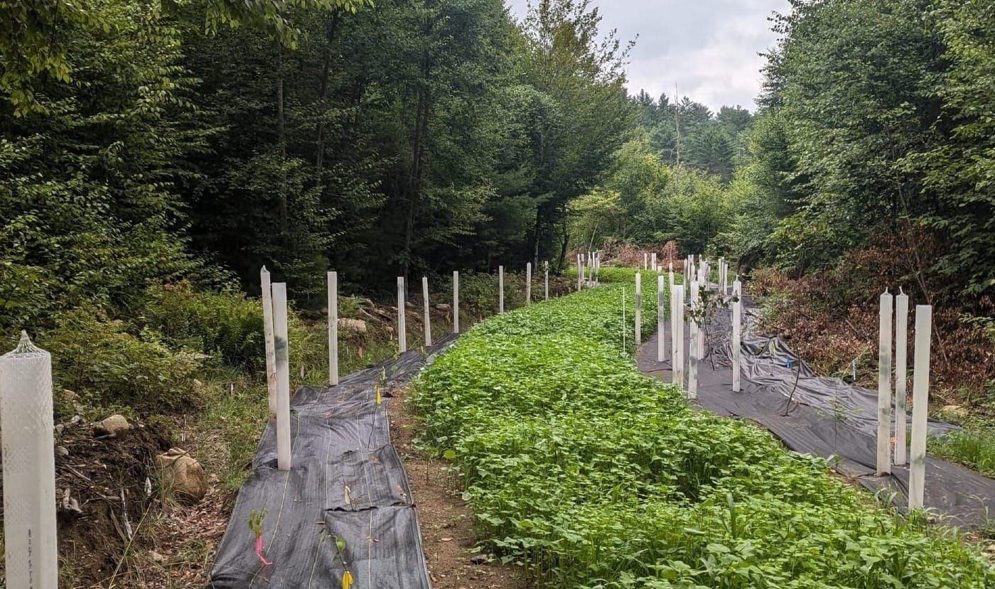 Vermont Research Farm