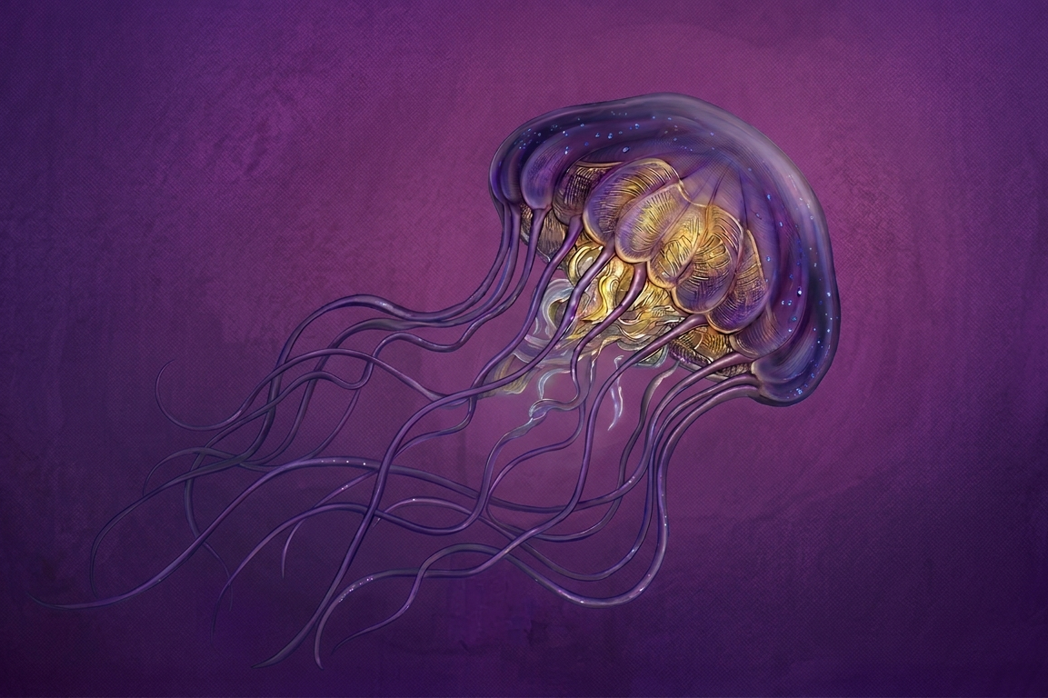 New Update: Jellycuts v2.6.2 – Language Power & IDE Stability