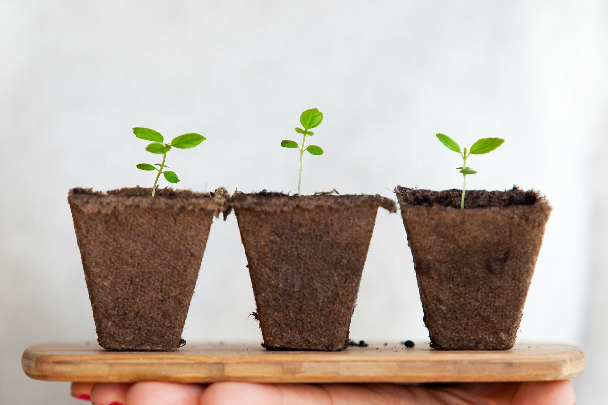 How to position growth marketing strategy