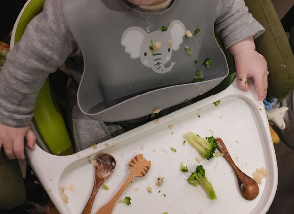 5. Feeding intentions and early reality