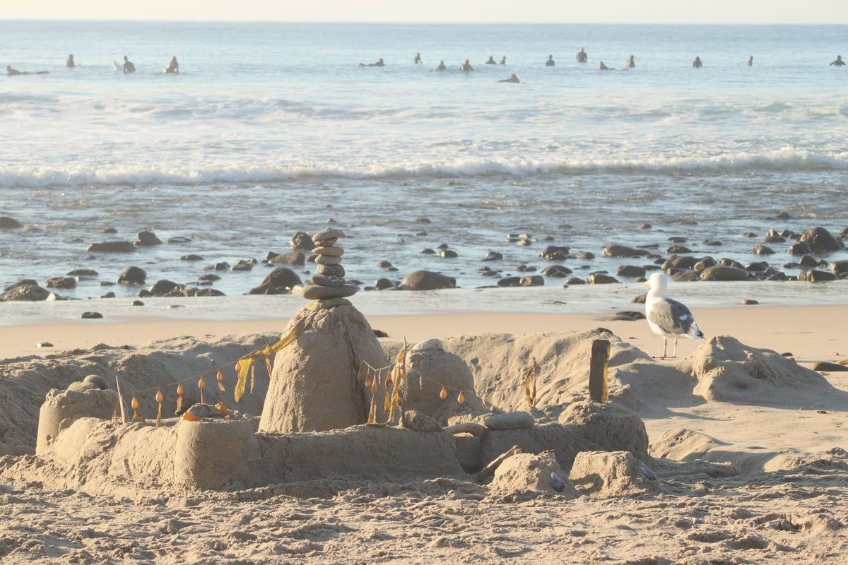 aa seagull stands next to a sandcastle against a backdrop of the ocean, a dozen or so surfers waiting for a wave off shore. 
