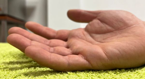 Citas de fisioterapia.