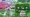 Screenshots of a Unity Raid in Pokémon Go, the left with the text 'The shield is wearing down! Unite and attack it again!', and the right, 'Raise your device in the air to get your Pokémon!'