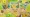 A screenshot from a trailer showing Pikachu designs in the Pokémon TCG: 30th Celebration expansion.