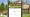 A mockup of a phone showing Seedot and a National Trust Location Background in Pokémon Go, with a blurred version of that background behind.