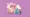 Lickitung, Totodile and Paldean Wooper in front of a polygonal shape and textured background.