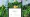A phone displaying a Pikachu with a Lego Special Background in Pokémon Go, in front of a blurred version of the background.