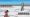 Daily Red is a daily Wordle-like Pokémon game with vibe-coded origins and one too many versions to choose from