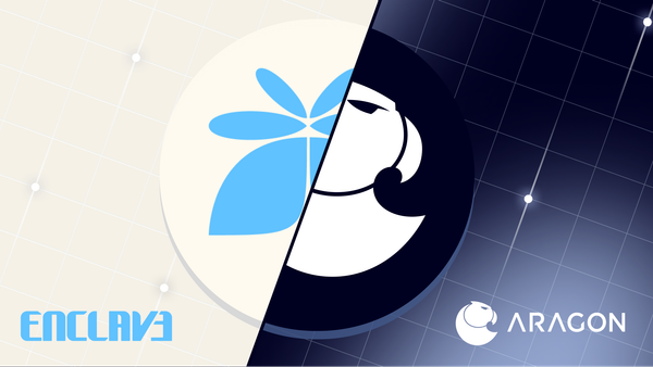 Extending Privacy in Governance: Verifiable Secret Ballots on Aragon with Enclave