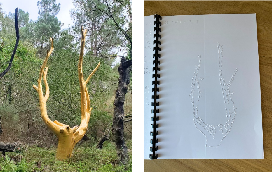 Photo du site de l'Arbre d'or. A côté, l'arbre d'or imprimé en braille