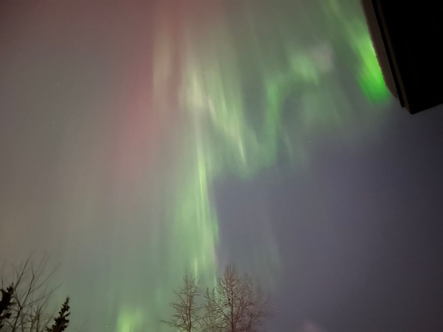 New Year, New Platform and a New Session of Hope