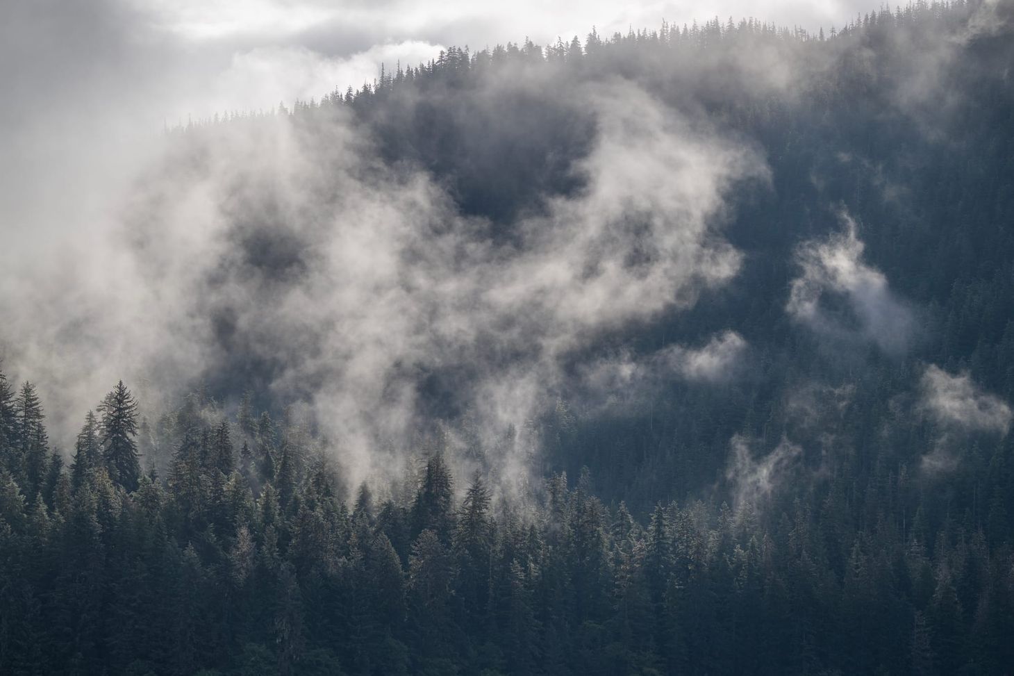 As legislators rail against feds accessing voter info, Dunleavy officials say they'd do it again