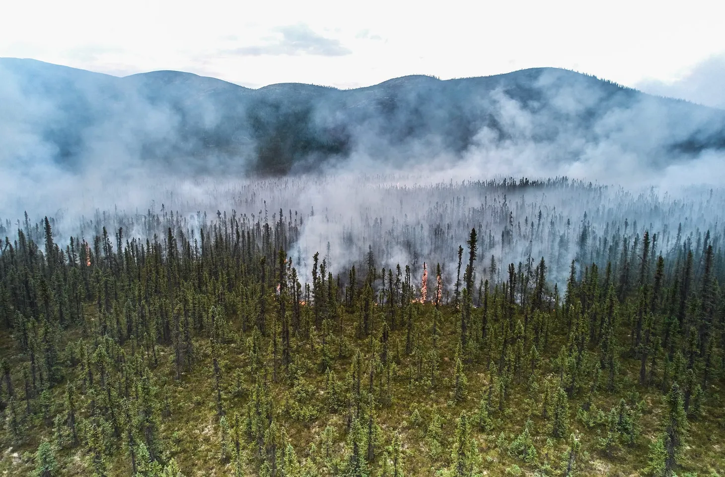AKLEG Day 105: 'This difficult interaction' 