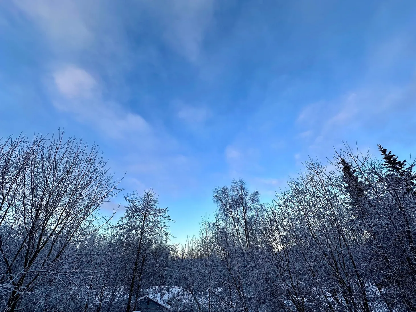 Bluer skies