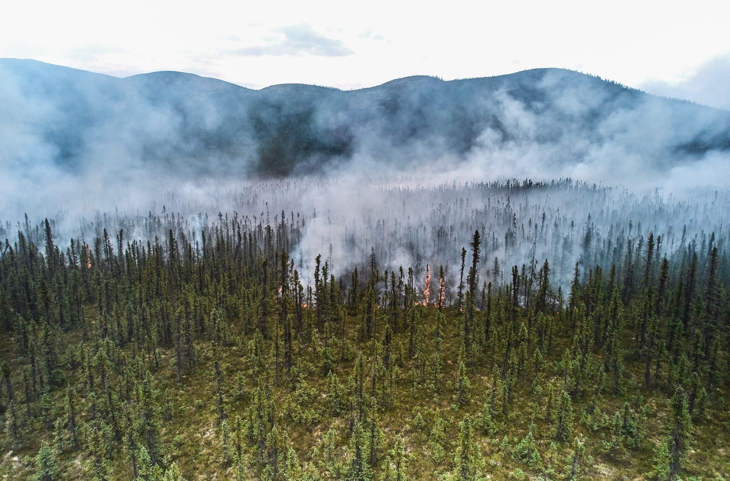 AKLEG Day 105: 'This difficult interaction' 