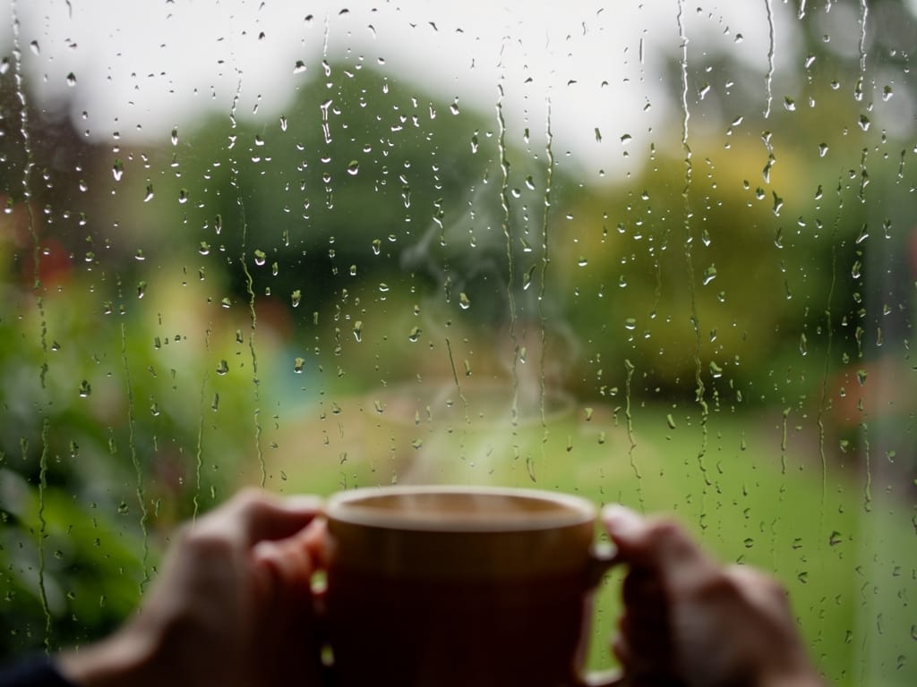A person holding a warm mug while looking out a rainy window into a garden