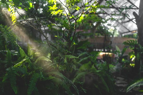 5 Offline Rituals That Will Help You Combat Digital Fatigue