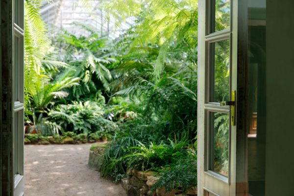 Unblocking Your Receiving Mode for True Abundance