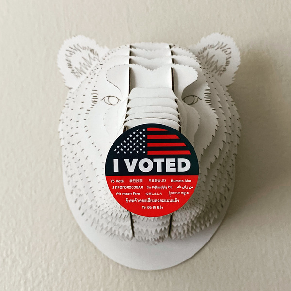 🐻 Don’t Be UnBEARable —&nbsp;VOTE 🗳